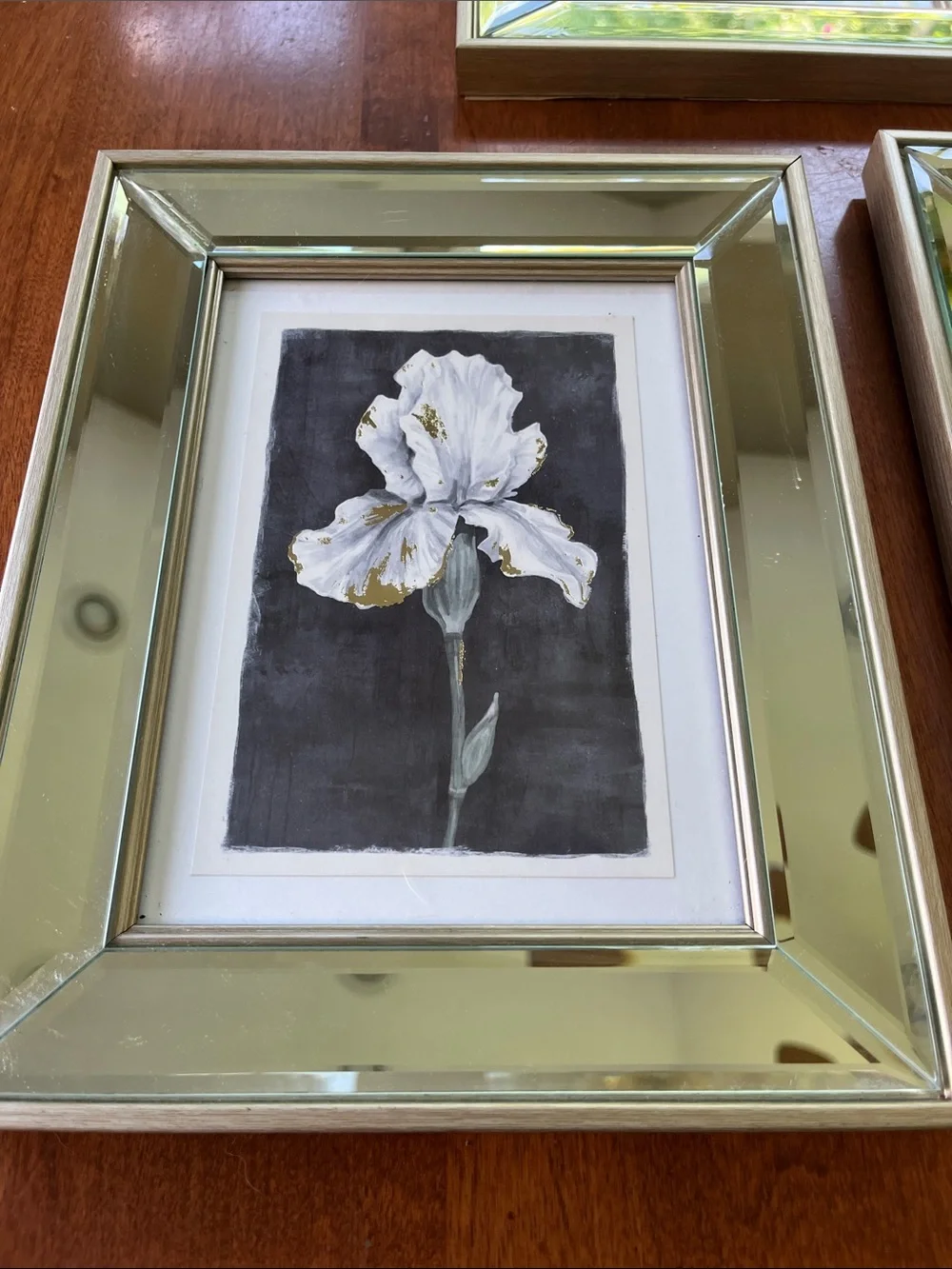 Set of 3 mirrored picture frames white/gold floral prints on black background